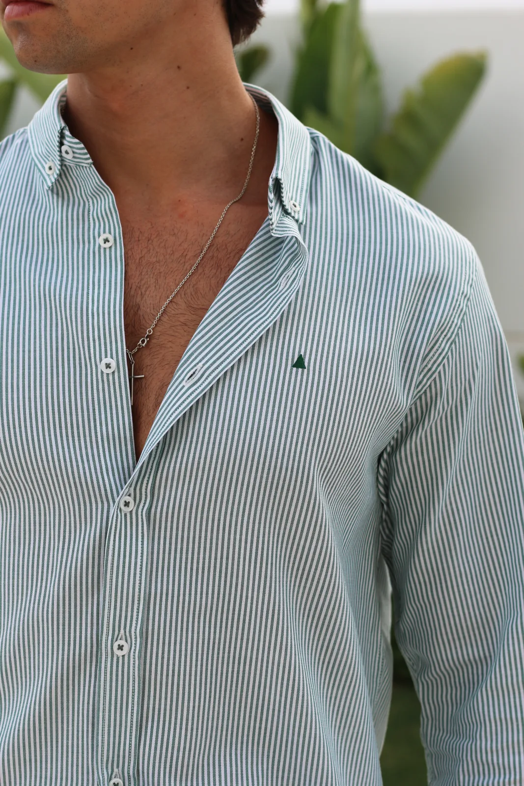 CAMISA RAYAS VERDE BOTELLA - Imagen 2